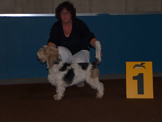 Boss Luxembourgish Champion 06.09.2008