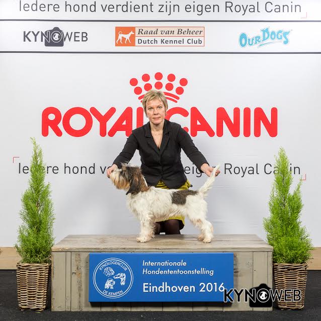 Finnlander's Meant To Be BOB Eindhoven 22.01.2016